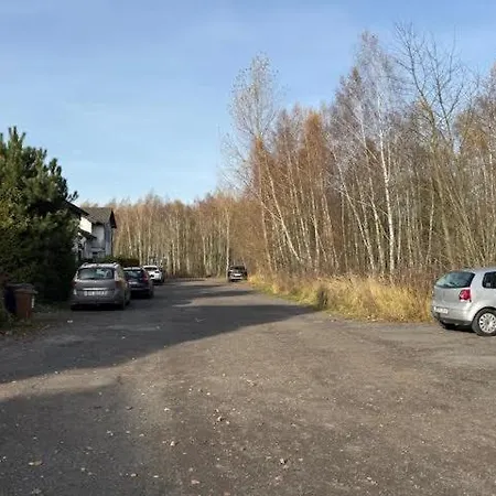 Zuza Self Check-in Parking, Cisza, Zielen