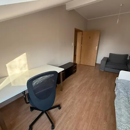 Zuza Self Check-in Parking, Cisza, Zielen *